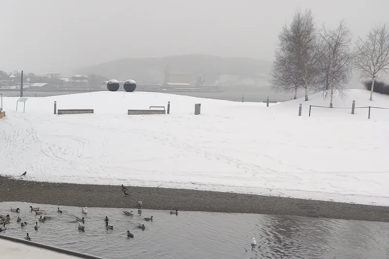 The sculpture park covered in snow, with “Eyes” on the mound and ducks in the water