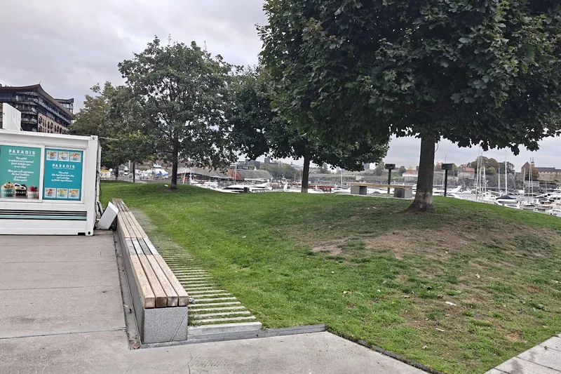 The lawn on Odden with large maple trees and a view of the marina