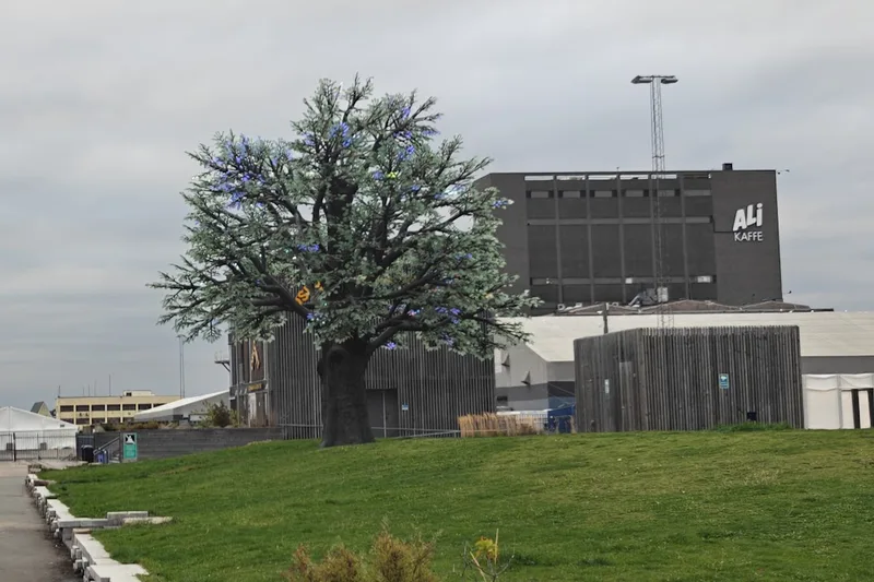 The Oslo Tree on the grassy mound, with the ALI building behind