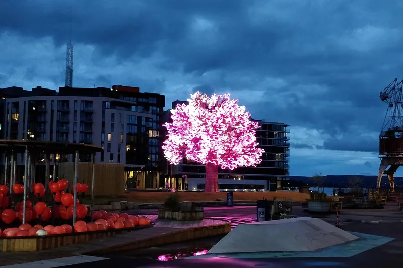 The Oslo Tree glowing pink on a summer evening at blue hour, seen from Trettenparken
